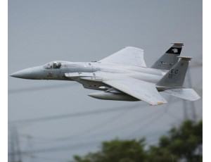 Freewing F-15C Eagle 90mm EDF Jet 6S High Speed Inrunner PNP Version With Weapons Set